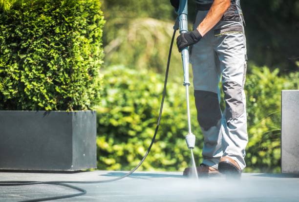 Best Roof Washing  in Mitchell, IL