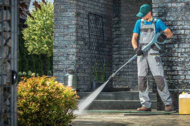 Best Driveway Pressure Washing  in Mitchell, IL