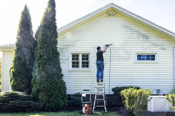 Best Parking Lot and Garage Cleaning  in Mitchell, IL